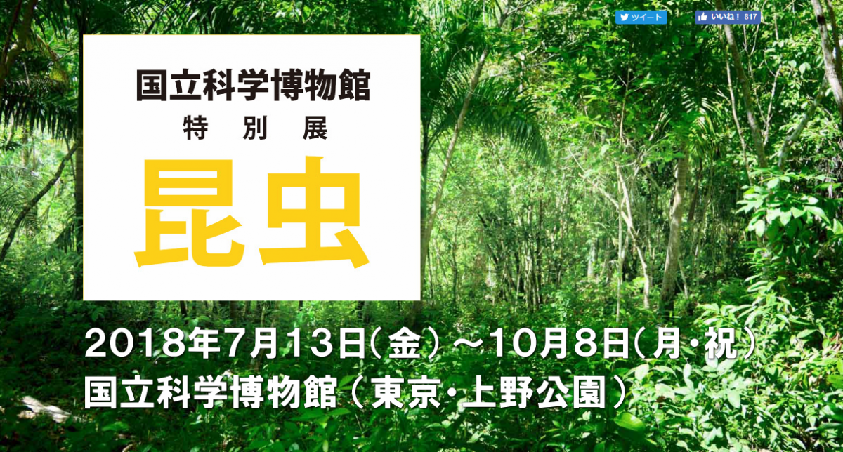 国立科学博物館 特別展「昆虫」 | 上野公園イベント＆フェス2024情報