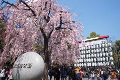 うえの桜まつり