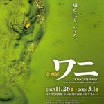 企画展ワニ｜11月26日（水）〜3月1日（日）国立科学博物館（上野公園）でワニの進化と人との関わりを探る特別展示が開催！